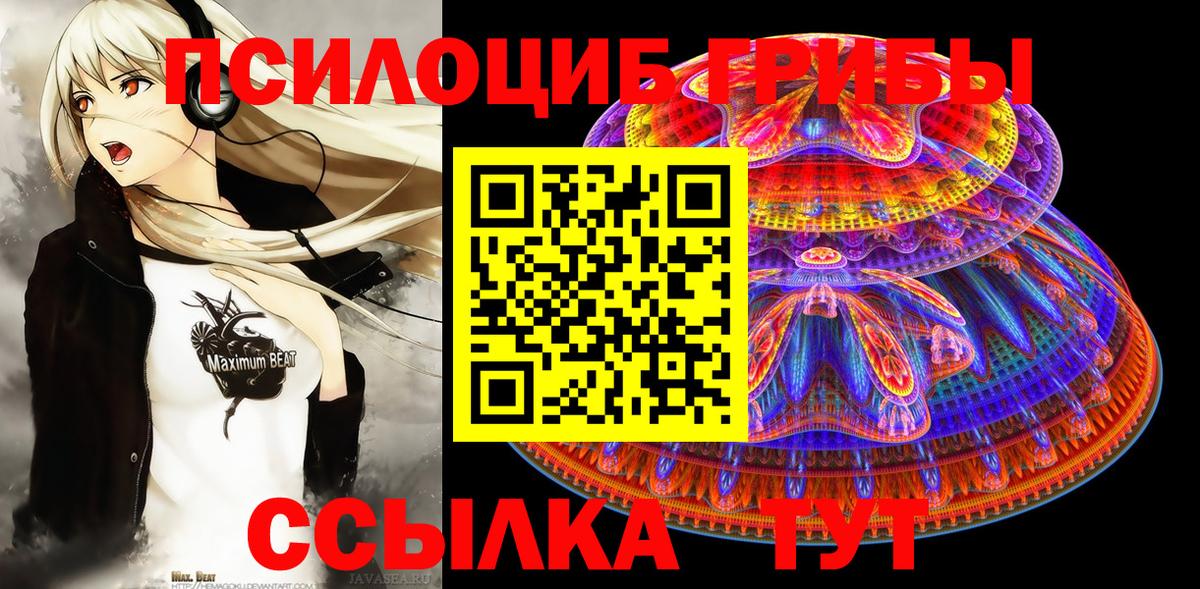 наркотики  Галлюциногенные грибы мицелий  Псилоцибиновые грибы Psilocybine cubensis  Вход с VPN  Топки 